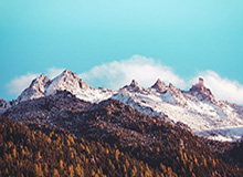 华体会hth注册-成都蓉城队前外教汉斯：中国足球需要耐心并注重细节|守门员|奥地利|成都蓉城足球俱乐部|徐正源|亚冠_新浪新闻